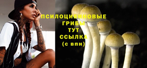 гидра Баксан