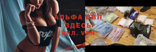 гидра Баксан