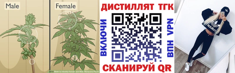 Дистиллят ТГК гашишное масло  Касли 