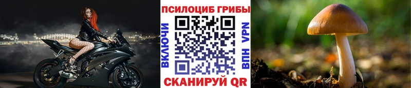 Галлюциногенные грибы Psilocybine cubensis  где найти наркотики  Касли 
